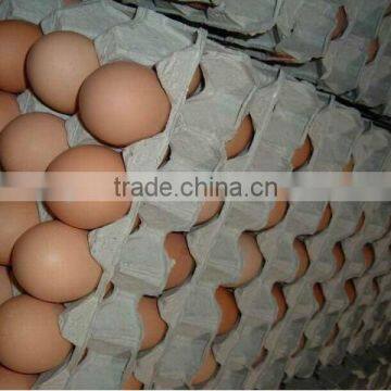 paper pulp egg tray of 30 cavities