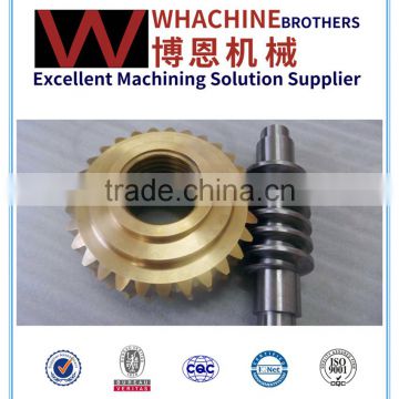 China Price High Precision Worm Gear Made By Gold Supplier WhachineBrothers ltd