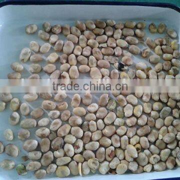 Color Sorting MachIne for Rice,Cereal,Plastic,Mine photo-4