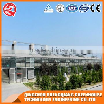 Factory direct anti ultraviolet solar glass greenhouse