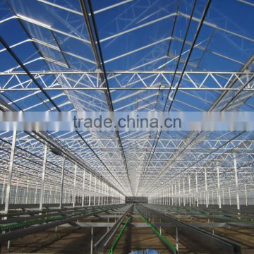 SP-V-96 Venlo Multi-Span Glass Greenhouse for vegetables and flowers