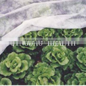 PP Mulch Fleece , Frost Protection Fleece (50g/m2) photo-5