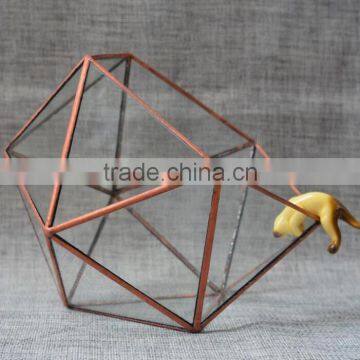 Home Design Clear Glass Terrarium Succulent Plants Greenhouses photo-3