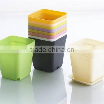 Plastic Colorful Small Square Flower Pots Without Pallet -3 Inch