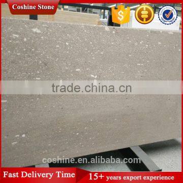 Popular Export History Travertine Slab photo-3