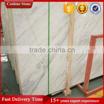 White Marble With Black Vein photo-2