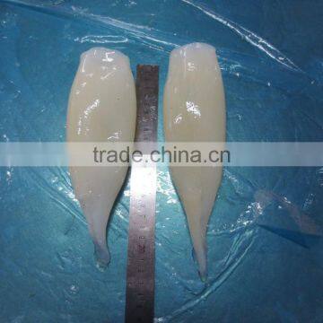 HACCP,QS Certification Frozen Illex Squid Tube photo-5