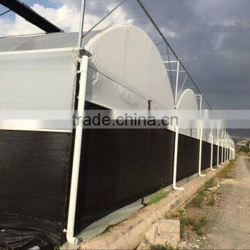 China Plastic Film Greenhouse Tunnel for Sale photo-4