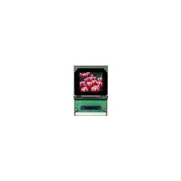 Hong Kong OLED Module