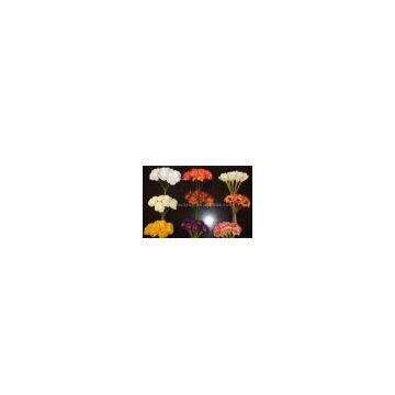 Sell Artificial Flower