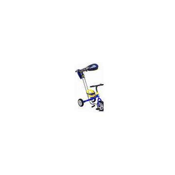 Canopy Trike