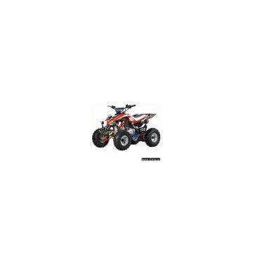 110cc Sports Atv