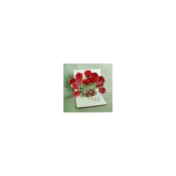 Greeting Card Printing (CN-4-11)