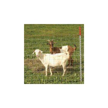 Knotted Wire Mesh Fence