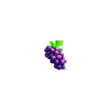 Grape Seed P.E.(sales5 at lgberry dot com dot cn )