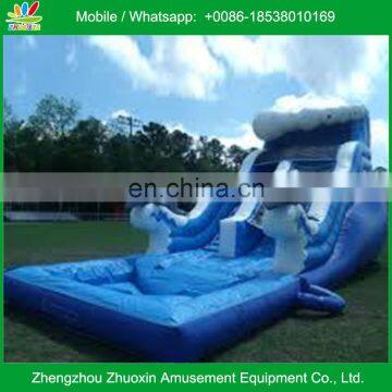 20ft Tall Dophin thene Inflatable Water Slide