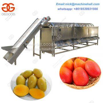 Hot Sale Mangoes Sorting Machine/Stainless Steel Mango Sorting Machine/Automatic Mango Sorting Machine