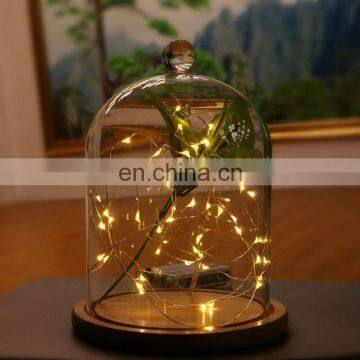 2018 Hot Sale 100LED 10M 33ft Warm White Christmas LED String Light for Decoration photo-5