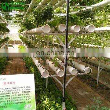 Commercial hydroponics vegetables grow system for greenhouse