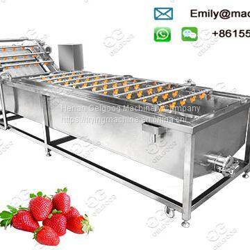 Industrial Strawberry Washing Machine