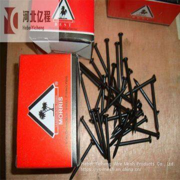 Manufacturer DIN 1152 Blank Compressed Metal Iron Common Concrete Wire Nails photo-2