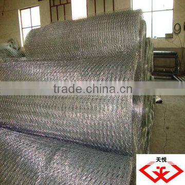 hexagonal wire mesh(tyd)