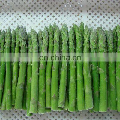 Green Food Frozen Asparagus Tips Frozen Asparagus New Crop Factory Price Good Quality
