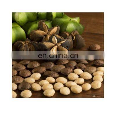 Best sale high quality organic sacha inchi nut/Tasty seeds sacha inchi from Vietnam