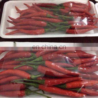 FRESH CHILLI/RED CHILLI/GREEN CHILLI - BEST PRICE  HIGH QUALITY