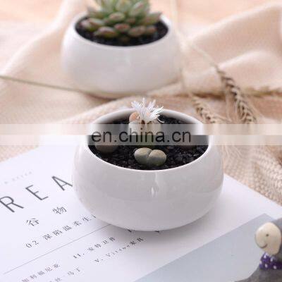 Home And Garden 2021 Wihte Simple Small Size Ceramic Round Bonsai Pot Garden Pots