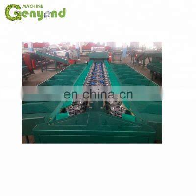 High Capacity Mango Washing Grading Machine photo-3