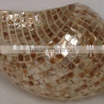 High quality best selling eco friendly Mother of pearl snail image from Vietnam