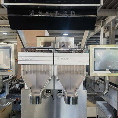 CBPS-D16 Modular Vision-Based Servo Rotary Gate Counting Machine