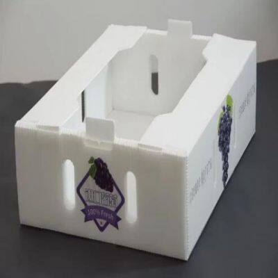 Polypropylene Storage Box