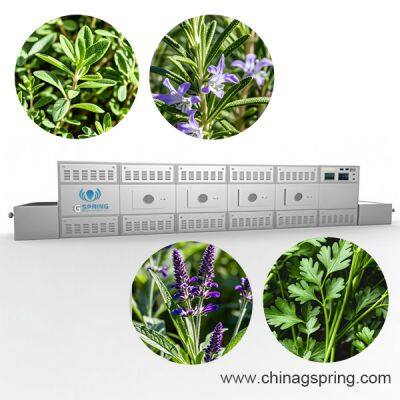 Machine à sécher les herbes médicinales, four micro-ondes de grande capacité pour les feuilles