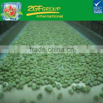 IQF Frozen Green Broad Beans photo-3