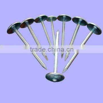 smooth shank roofing nails