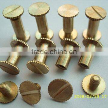 binding screw