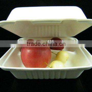 Christmas Kitchen Dinner Biodegradable Green Compostable Take-away Box In Food Packaging photo-3