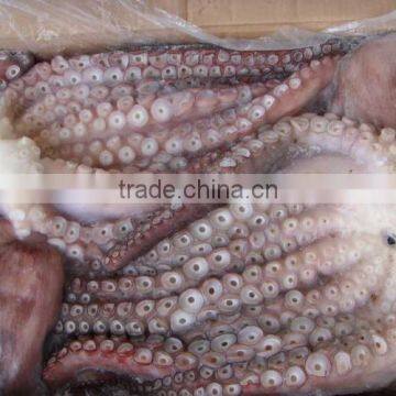 frozen seafood octopus IQF Octopus Of Various Sizes