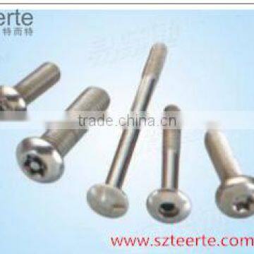 stainless steel anti- theft screw