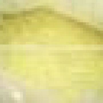 SULPHUR