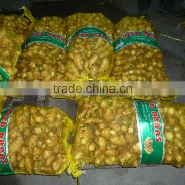 2015 crop fresh ginger