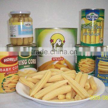 baby corn, canned baby corn, canned food