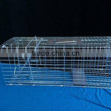 trap pest control collapsible ferret trap cage