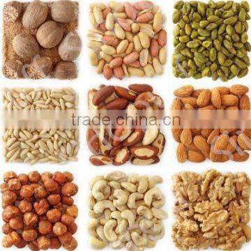 China Best Selling Peanut/Nuts Roaster Process Line photo-2
