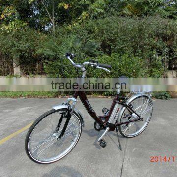 250W 36V 10AH chinese electric bike