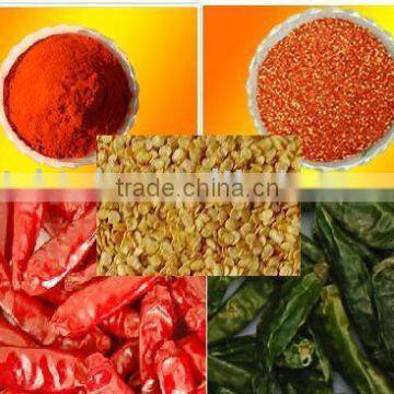 chilli and chilli processing products