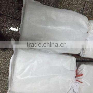 Frozen Giant Squid Fillet photo-2