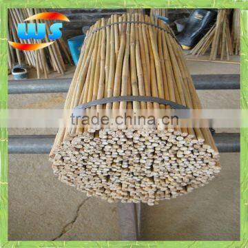 bambu for plantation 4'X8/10mm